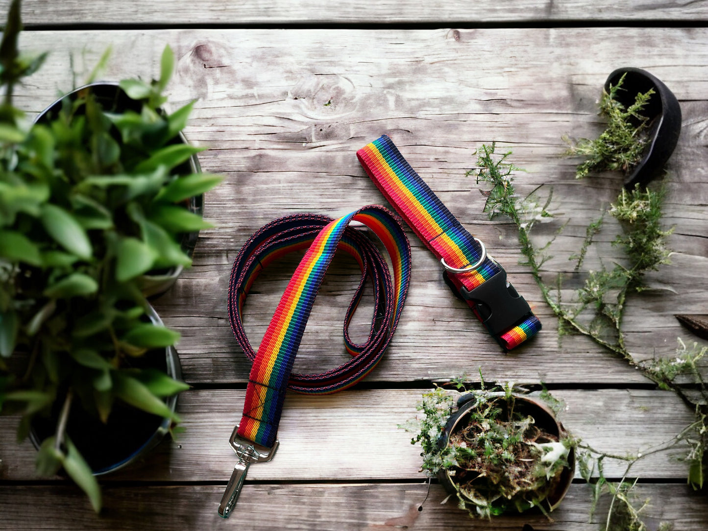 Rainbow Striped Dog Lead - LBGTQ - Pride