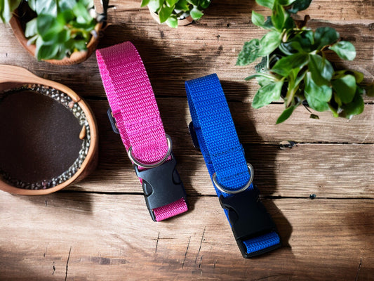 Adjustable Dog Collar in Pink or Blue