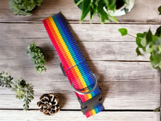 Adjustable Rainbow Dog Collar - LGBTQ - Pride