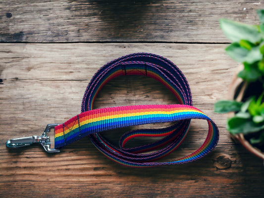 Rainbow Striped Dog Lead - LBGTQ - Pride