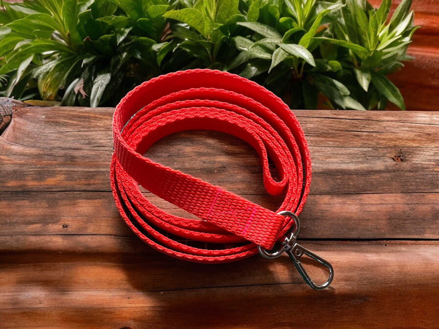 Puppy/Small dog Lead  - Vibrant Orange - Matching Collar available