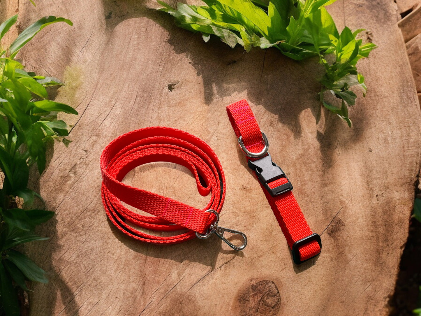 Puppy/Small dog Lead  - Vibrant Orange - Matching Collar available