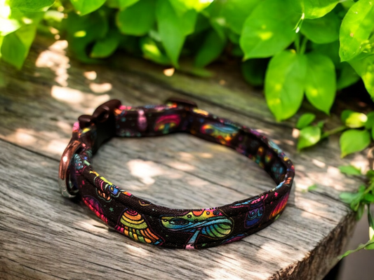 Dog Collar in a Vibrant Mushroom design on a Black Background -  Adjustable - Dog Accessories - Fashion Collar -  Matching Lead Available